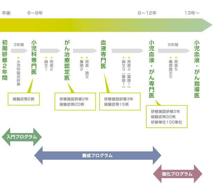 日本小児血液・がん専門医になるためのタイムスケジュール表